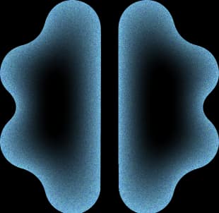 Brain Image Map