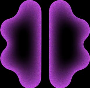 Brain Image Map